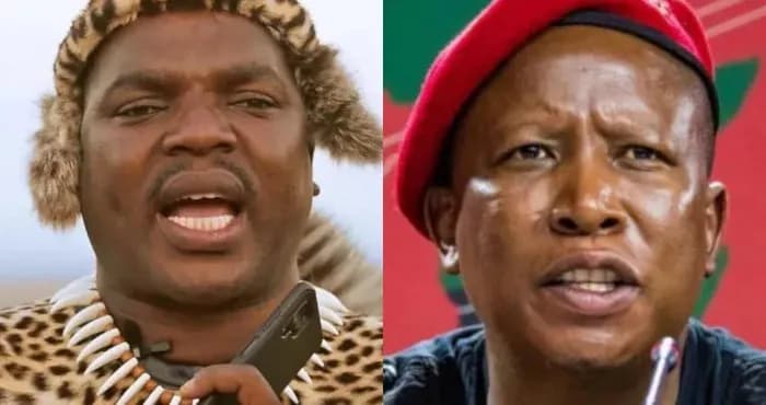 Ngizwe Mchunu apologises for defamatory remarks after contempt of court ruling