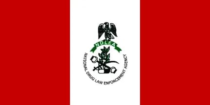 NDLEA Intercepts Large Opioid Consignment in Building Materials, Arrests 75-Year-Old and Others